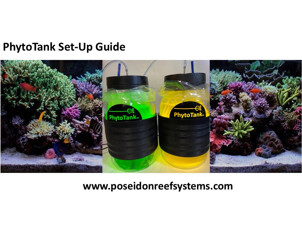 Bound Phytoplankton System Guide