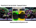 Bound Copepod System Guide