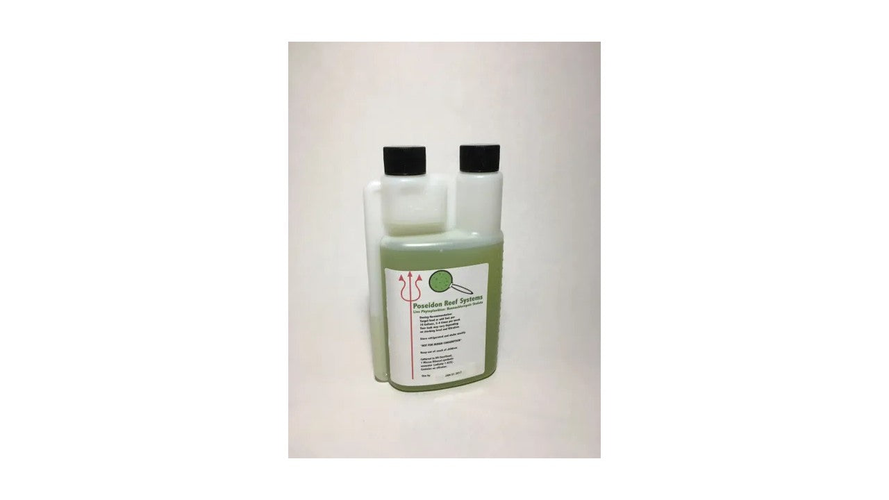 Nannochloropsis Oculata (16 Ounces)