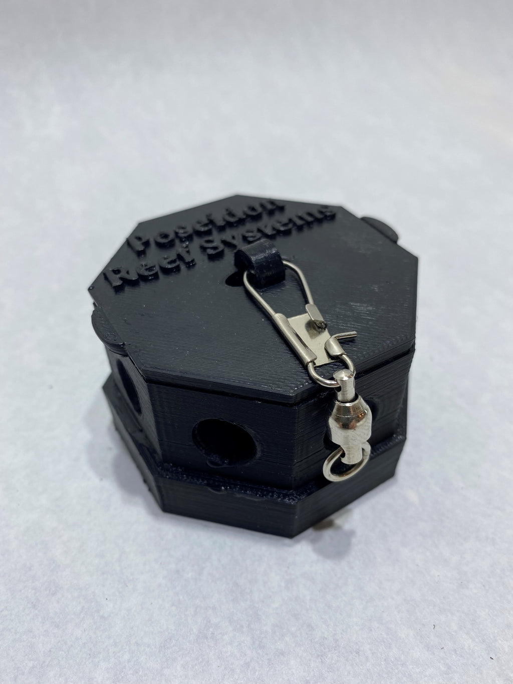 Bristle Worm Trap